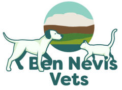 Ben Nevis Vets