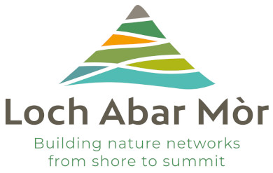 Loch Abar Mòr