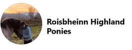 Roisbheinn Highland Ponies